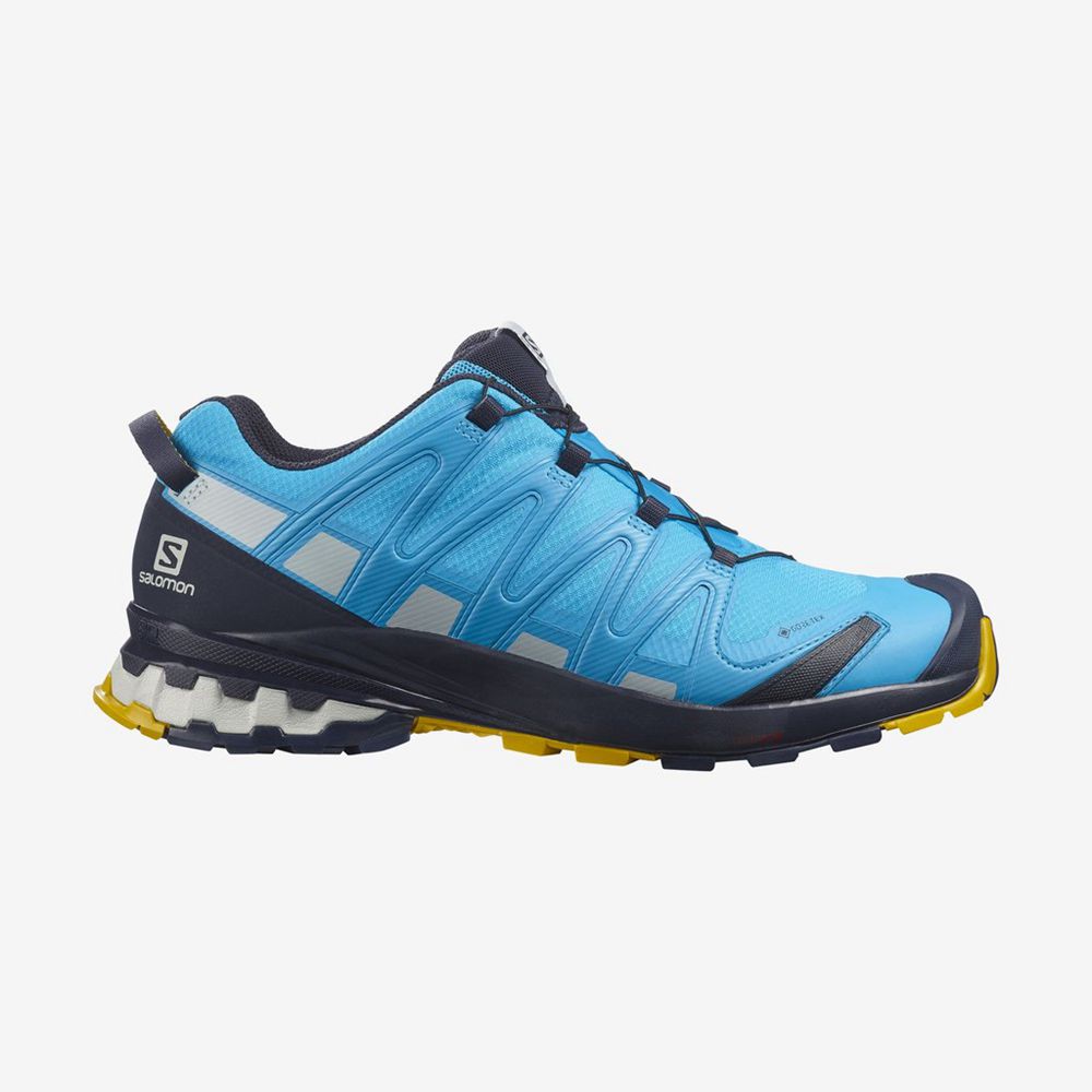 SALOMON XA PRO 3D V8 GORE-TEX Philippines - Men's Hiking Shoes - Blue | 294365-KUW